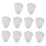 15x10 Pieces Ostrich Feathers Lightweight 25-30cm for Christmas