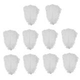 15x10 Pieces Ostrich Feathers Lightweight 25-30cm for Christmas