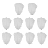 15x10 Pieces Ostrich Feathers Lightweight 25-30cm for Christmas