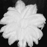 15x10 Pieces Ostrich Feathers Lightweight 25-30cm for Christmas