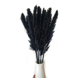 Maxbell 60x Dried Pampas Grass Phragmites Reed Flower Bunch Home Wedding Decor Gift
