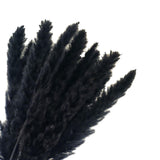 Maxbell 60x Dried Pampas Grass Phragmites Reed Flower Bunch Home Wedding Decor Gift