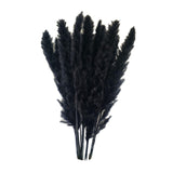 Maxbell 60x Dried Pampas Grass Phragmites Reed Flower Bunch Home Wedding Decor Gift