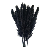 Maxbell 60x Dried Pampas Grass Phragmites Reed Flower Bunch Home Wedding Decor Gift