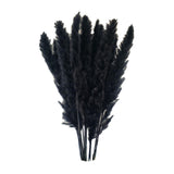 Maxbell 60x Dried Pampas Grass Phragmites Reed Flower Bunch Home Wedding Decor Gift