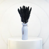 Maxbell 60x Dried Pampas Grass Phragmites Reed Flower Bunch Home Wedding Decor Gift