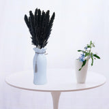 Maxbell 60x Dried Pampas Grass Phragmites Reed Flower Bunch Home Wedding Decor Gift