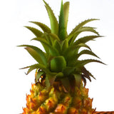 Modern Artificial Pineapple Fake Fruit Figurine Plant Decor Yellow 21x8cm