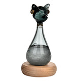 Windstorm Glass Weather Predictor Office Christmas Weather Forecast Bottle Black
