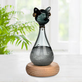 Windstorm Glass Weather Predictor Office Christmas Weather Forecast Bottle Black