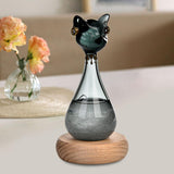 Windstorm Glass Weather Predictor Office Christmas Weather Forecast Bottle Black