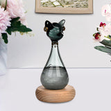 Windstorm Glass Weather Predictor Office Christmas Weather Forecast Bottle Black