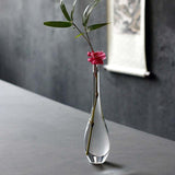 Maxbell 2x Modern Glass Vase Floral Vases Flower Vase for Decor Accessories