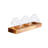 Maxbell Maxbell Glass Vase Transparent Bottle Propagation Terrarium for Home Cabinet Decor