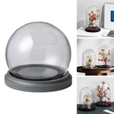 Maxbell Maxbell Decorative Clear Glass Dome Tabletop Decor Showcase Cover for Countertops A