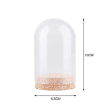 Maxbell 2x10Pcs Display Dome with Base Collectibles Dustproof Display Case Glass Dome