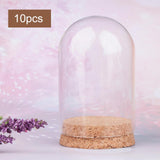 Maxbell 2x10Pcs Display Dome with Base Collectibles Dustproof Display Case Glass Dome