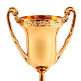 Maxbell 10Pcs Reward Prize Small Award Trophies for Competition Decorations Copper