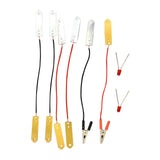Fruit Battery Science Experiment Kit Children Kids Teens Educational Project
