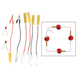 Fruit Battery Science Experiment Kit Children Kids Teens Educational Project