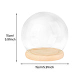 Maxbell 2xDisplay Dome with Base Transparent Showcase Glass Cover Container Glass Dome 15cm Wood Base