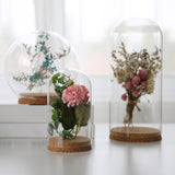 Maxbell 2xGlass Dome Display Cloche Bell Jar Display Dome Case for Office Wedding Home 9cmx12cm