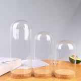 Maxbell 2xGlass Dome Display Cloche Bell Jar Display Dome Case for Office Wedding Home 9cmx12cm
