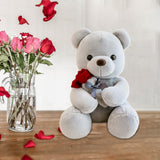 Kids Valentines Day Gifts Home Decor Anniversary Gifts Cute Bear Plush Dolls Gray 50cm