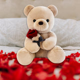 Kids Valentines Day Gifts Home Decor Anniversary Gifts Cute Bear Plush Dolls Brown 25cm