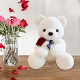 Kids Valentines Day Gifts Home Decor Anniversary Gifts Cute Bear Plush Dolls White 25cm