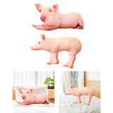 Cute 3D Pig Hug Pillow Throw Pillow Cushion Bed Pillow for Housewarming Gift 50x25cm