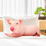 Cute 3D Pig Hug Pillow Throw Pillow Cushion Bed Pillow for Housewarming Gift 50x25cm