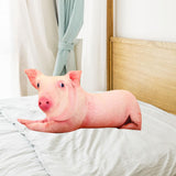 Cute 3D Pig Hug Pillow Throw Pillow Cushion Bed Pillow for Housewarming Gift 50x25cm