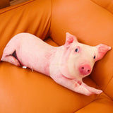 Cute 3D Pig Hug Pillow Throw Pillow Cushion Bed Pillow for Housewarming Gift 50x25cm