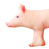 Cute 3D Pig Hug Pillow Throw Pillow Cushion Bed Pillow for Housewarming Gift 55x30cm