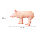 Cute 3D Pig Hug Pillow Throw Pillow Cushion Bed Pillow for Housewarming Gift 55x30cm