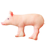Cute 3D Pig Hug Pillow Throw Pillow Cushion Bed Pillow for Housewarming Gift 55x30cm