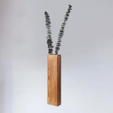 Maxbell Wall Hanging Vase Plants Holder Flower Arrangement for Office Party Tea Room