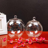 Maxbell Glass Plant Container Plants Glass Terrarium Jar for Kitchen Bedroom Desktop