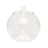 Maxbell Glass Plant Container Plants Glass Terrarium Jar for Kitchen Bedroom Desktop