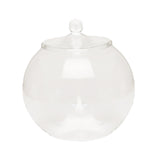 Maxbell Glass Plant Container Plants Glass Terrarium Jar for Kitchen Bedroom Desktop