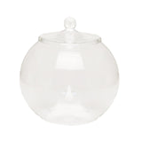 Maxbell Glass Plant Container Plants Glass Terrarium Jar for Kitchen Bedroom Desktop