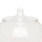 Maxbell Glass Plant Container Plants Glass Terrarium Jar for Kitchen Bedroom Desktop