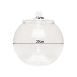 Maxbell Glass Plant Container Plants Glass Terrarium Jar for Kitchen Bedroom Desktop