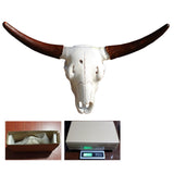 Maxbell Skull Sheep Head Wall Sculpture for Home Decor Gift 3D Wall Hanging Ornament Style A