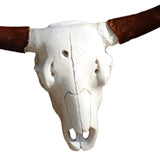 Maxbell Skull Sheep Head Wall Sculpture for Home Decor Gift 3D Wall Hanging Ornament Style A