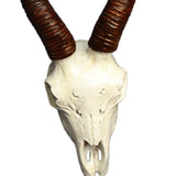 Maxbell Skull Sheep Head Wall Sculpture for Home Decor Gift 3D Wall Hanging Ornament Style B