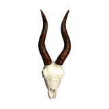 Maxbell Skull Sheep Head Wall Sculpture for Home Decor Gift 3D Wall Hanging Ornament Style B