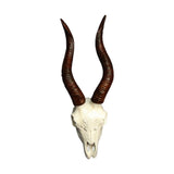 Maxbell Skull Sheep Head Wall Sculpture for Home Decor Gift 3D Wall Hanging Ornament Style B