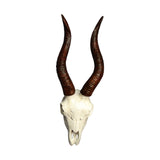 Maxbell Skull Sheep Head Wall Sculpture for Home Decor Gift 3D Wall Hanging Ornament Style B